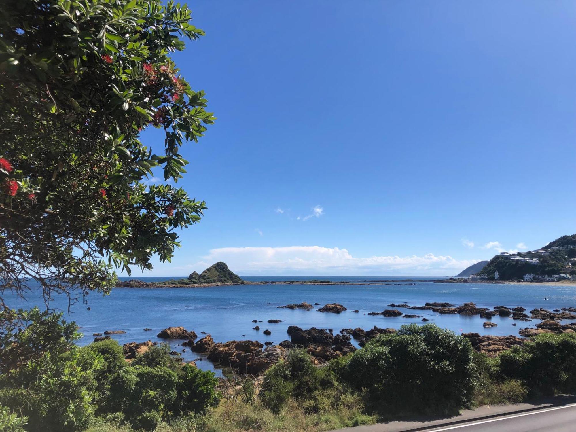 Seafront Haven In Island Bay With Deck, Outdoor Bath, And Parking Apartment Wellington Luaran gambar